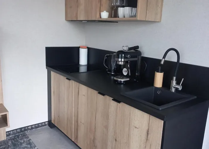 Komfortowy Z Widokiem Na Gory Z Sauna Oraz Basenem Zloty Horyzont Schreiberhau